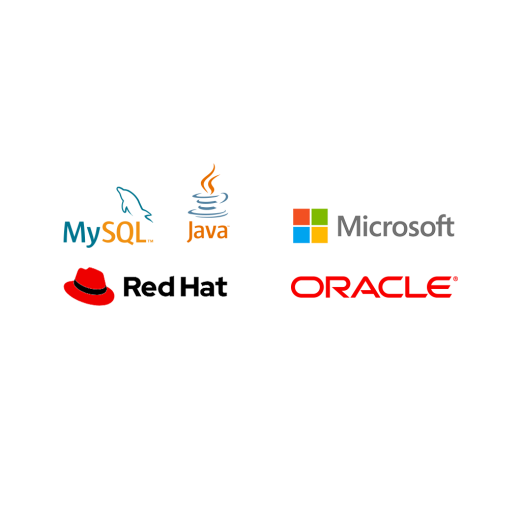 software logos color